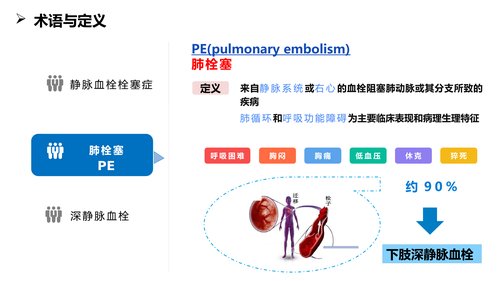 幻灯片3
