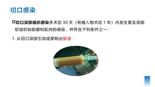 幻灯片7