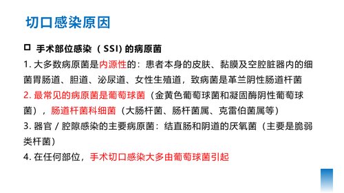 幻灯片11
