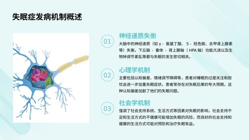幻灯片13