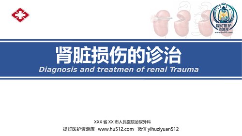 a00440 肾脏损伤的诊治(肾创伤) 20页PPT课件可编辑无水印直接可用