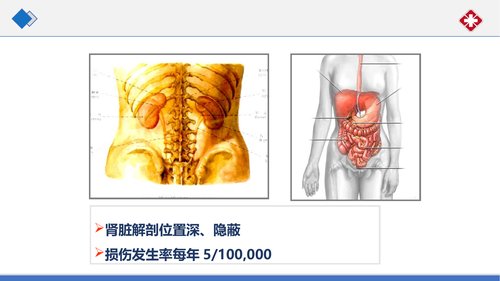 幻灯片5
