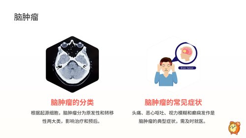 幻灯片8