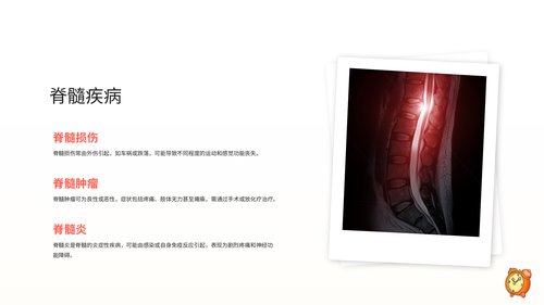 幻灯片9