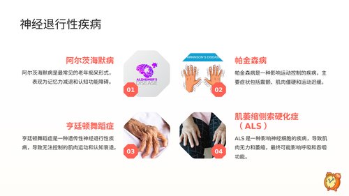 幻灯片10