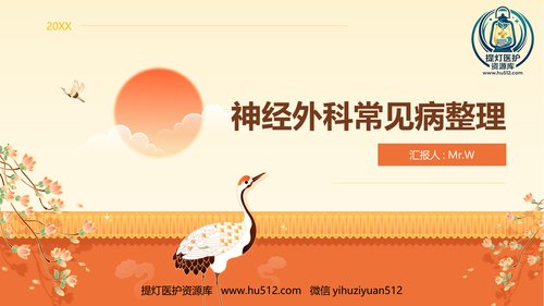 a00445 神经外科常见病整理 20页PPT课件可编辑无水印直接可用