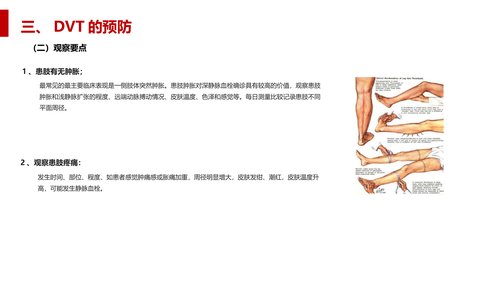 幻灯片8