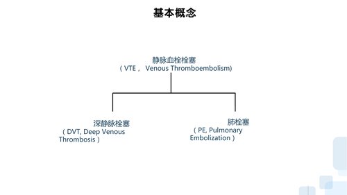 幻灯片5