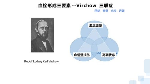 幻灯片14