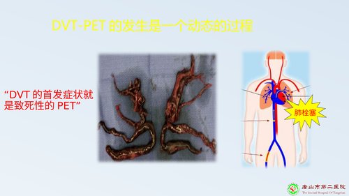 幻灯片8