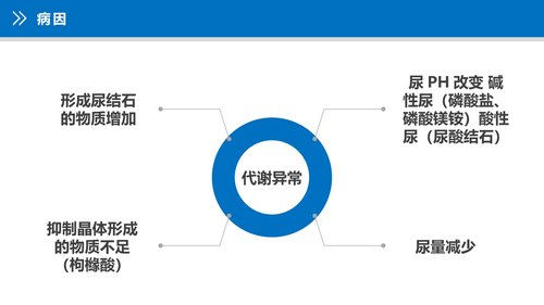 幻灯片12