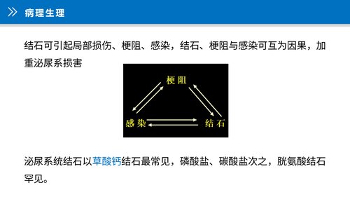 幻灯片15