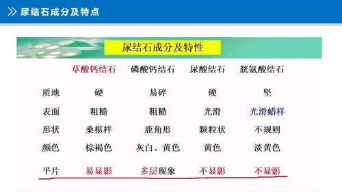 幻灯片17