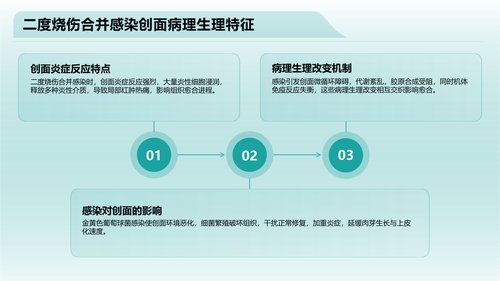 幻灯片5