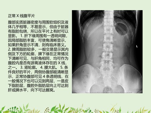 幻灯片3