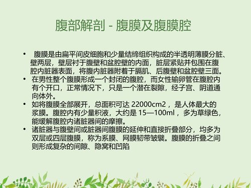 幻灯片10