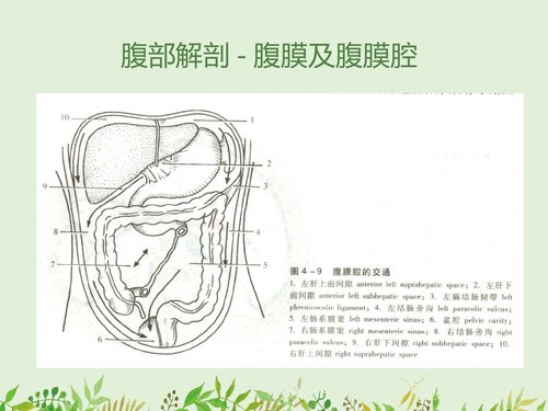 幻灯片13