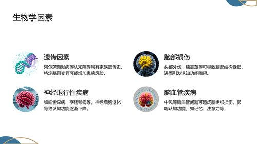 幻灯片17