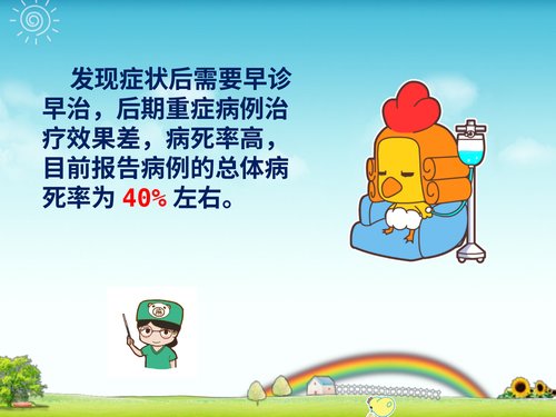 幻灯片6
