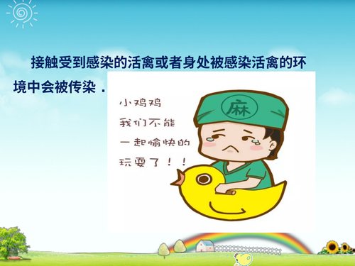 幻灯片8