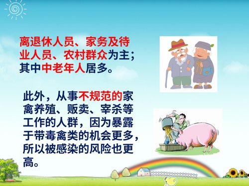幻灯片11