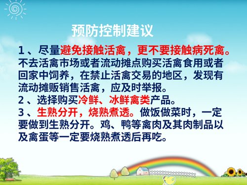 幻灯片19