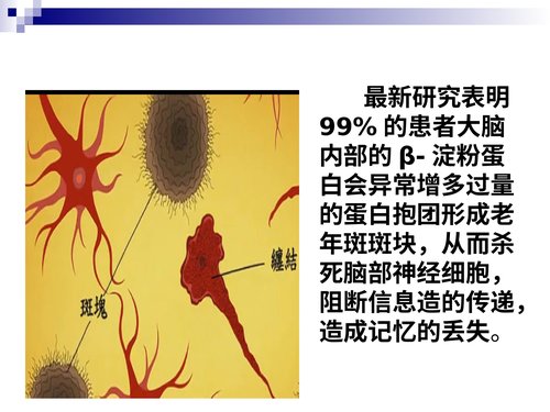 幻灯片7