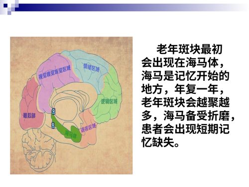 幻灯片8