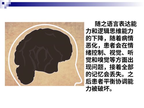 幻灯片9