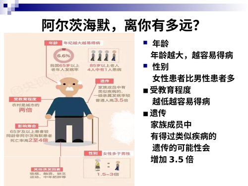 幻灯片13