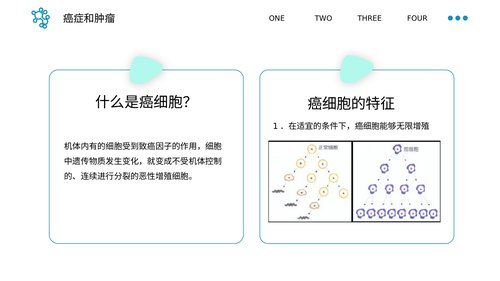 幻灯片5