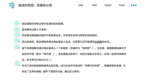 幻灯片13