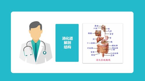 a0065 便秘的临床治疗及护理PPT课件19页可编辑无水印 第3页
