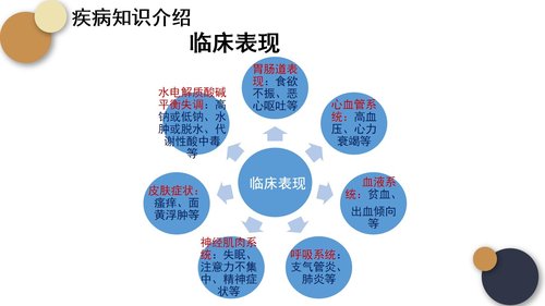 a0080 尿毒症的护理查房PPT课件25页可编辑无水印 第2页