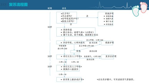 a0092 新生儿复苏CPR护理PPT课件84页可编辑无水印 第2页