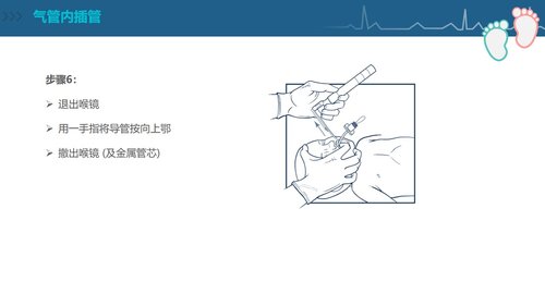 a0092 新生儿复苏CPR护理PPT课件84页可编辑无水印 第10页
