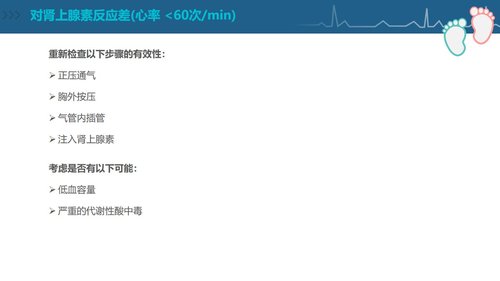 a0092 新生儿复苏CPR护理PPT课件84页可编辑无水印 第14页