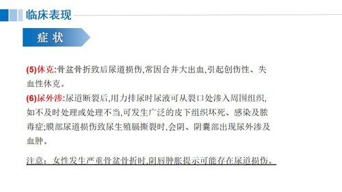 a0117 尿道损伤病人的护理PPT课件21页可编辑无水印 第9页