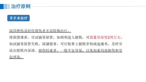 a0117 尿道损伤病人的护理PPT课件21页可编辑无水印 第8页