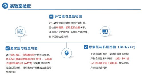 a0120 消化道大出血急救及护理PPT课件32页可编辑无水印 第5页