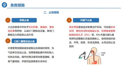 a0120 消化道大出血急救及护理PPT课件32页可编辑无水印 第8页