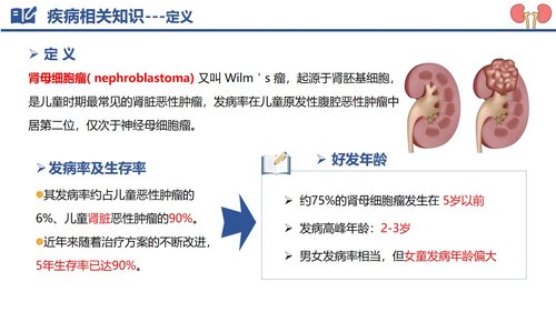 a0122 肾母细胞瘤破裂出血PPT课件29页可编辑无水印 第3页