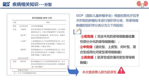 a0122 肾母细胞瘤破裂出血PPT课件29页可编辑无水印 第3页