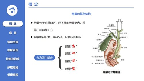 a0123 胆囊结石病人的护理PPT课件21页可编辑无水印 第2页