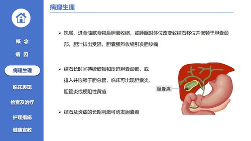 a0123 胆囊结石病人的护理PPT课件21页可编辑无水印 第4页