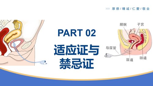 a0131 女病人留置导尿术PPT课件39页可编辑无水印 第2页