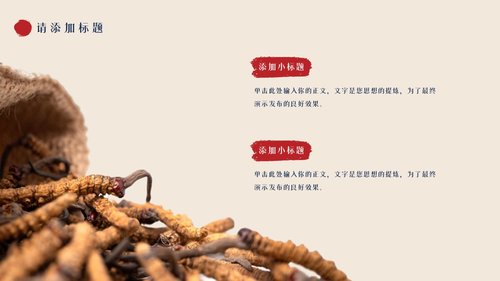 a0137 中医中药养生【无内容模板】PPT课件18页可编辑无水印直接可用 第17页