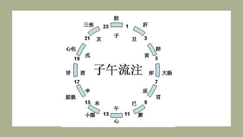 a0139 中医子午流注与养生防病PPT课件33页可编辑无水印直接可用 第2页