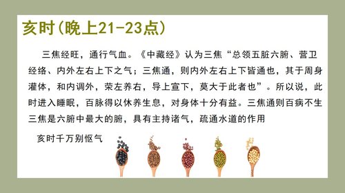 a0139 中医子午流注与养生防病PPT课件33页可编辑无水印直接可用 第11页