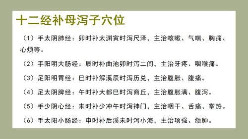 a0139 中医子午流注与养生防病PPT课件33页可编辑无水印直接可用 第18页